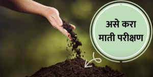 best Soil testing : असे करावे माती परीक्षण.